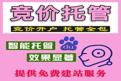 百度推广代运营公司：精准定位，助力品牌传播